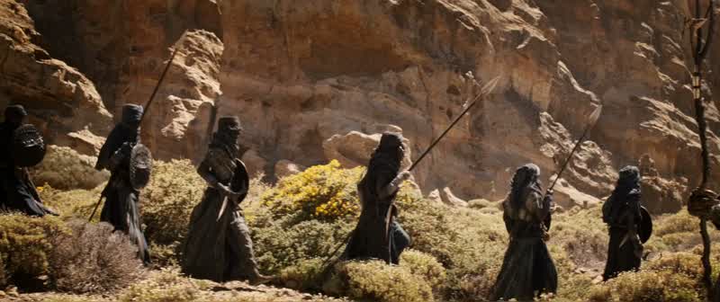 SOLON: When they get injured in battle......they replace their limbs with charwood and black magic