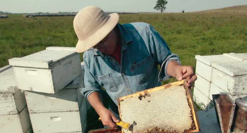 When it gets down below 18.5% moisture