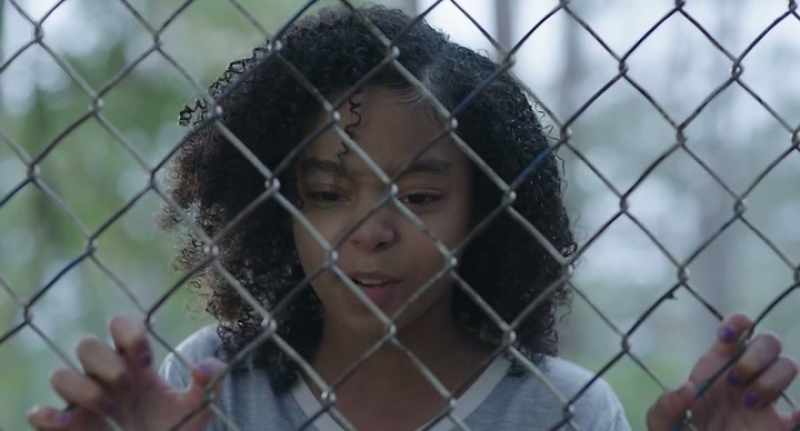 When he gets here, I'm going to make him come out here and set this tiger free