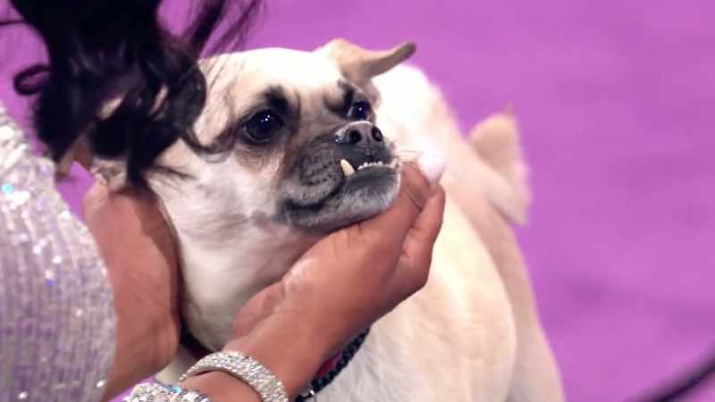 When you have an underbite like that