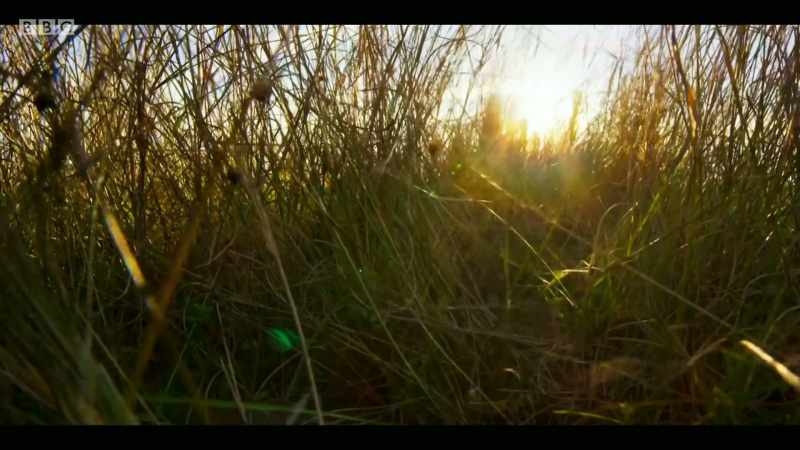 When we have intact natural systems with high biodiversity