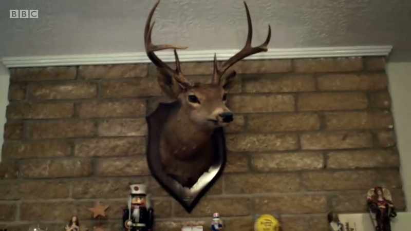 When I was 13 years old, I killed this deer