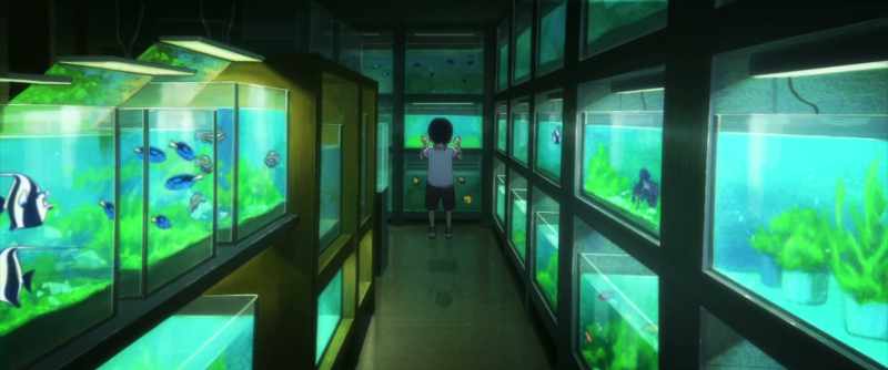 When I was a kid, my local fish store had one