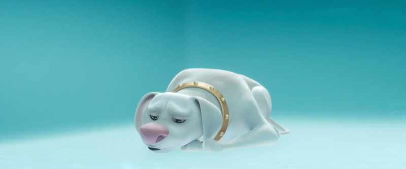 When I was a puppy