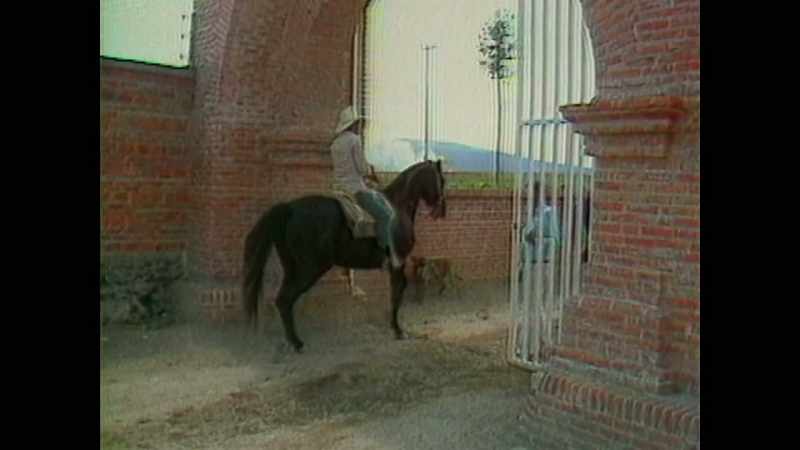 When I arrived to meet Ernesto Fonseca
