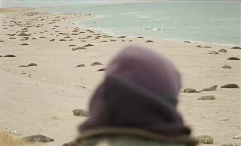 When I came for the first time to the island