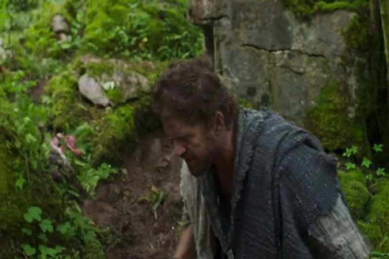 When I find a dead fox or a badger