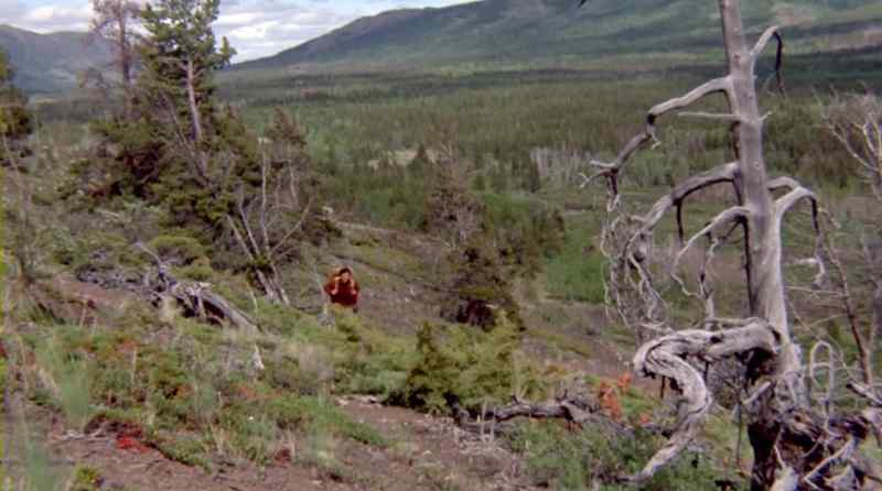 WHEN I FIRST CAME TO THE WHITE BIRD WILDERNESS
