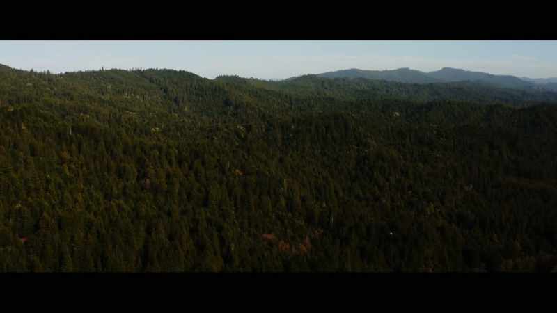 When I got to Northern California back in 1993