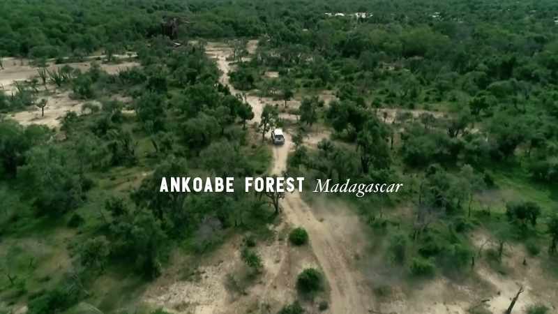 When I was in Madagascar this last trip