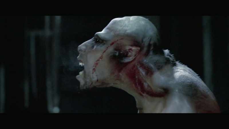 When I saw Underworld, I thought
