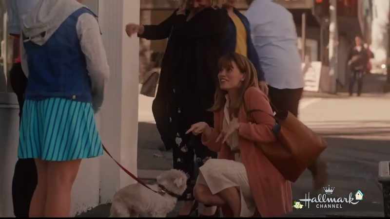 When I see those faces at a shelter