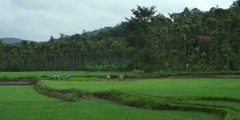 When I started organic farming