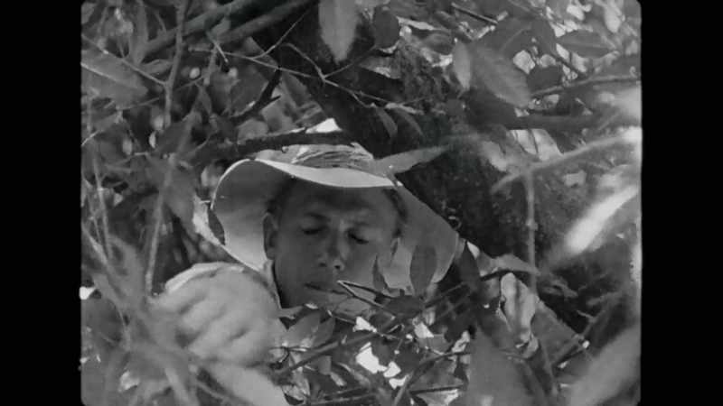 When I started working in television in the 1950s