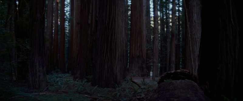 When I turned around, you were gone