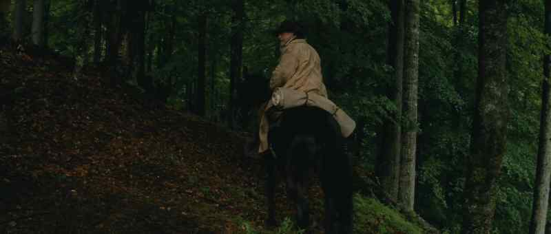 When I'm lucky, I'm back before your foot heals