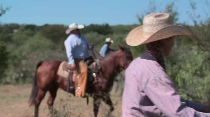 When it's time to work cattle at Radiator Ranch