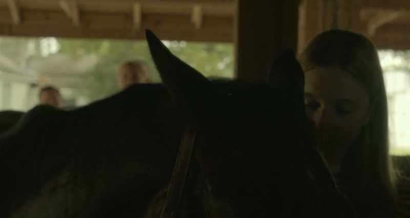 When Jenny first started with this horse business