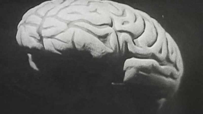 When you let your mind wander, you switch back and forth all the time