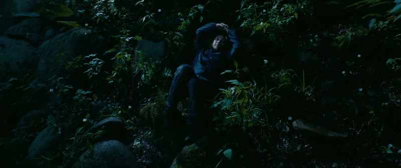 When you lie down and look up, the sky is filled with stars