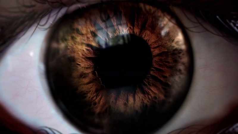When light particles enter the eye through that black hole at the center…