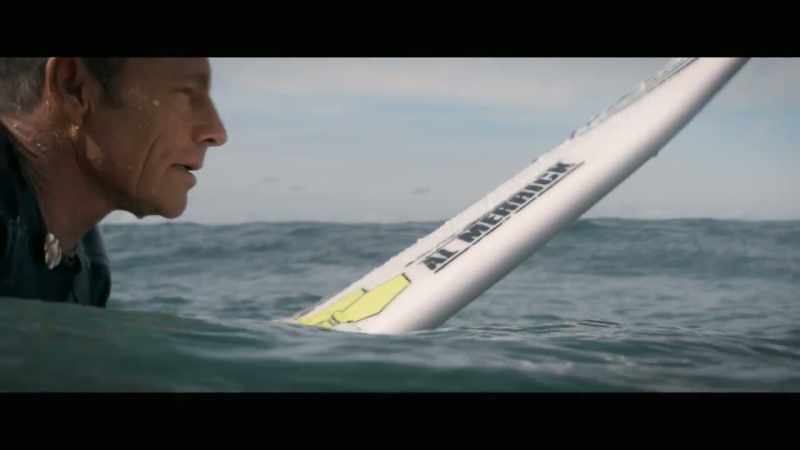 When we look at the shark