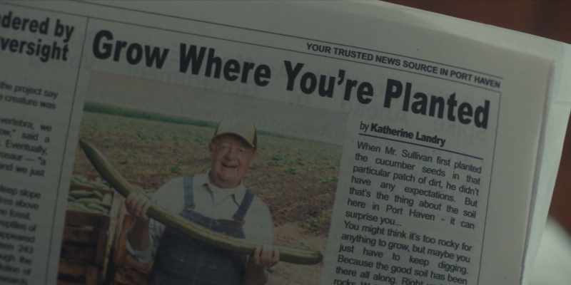 When mister Sullivan first planted the cucumber seeds