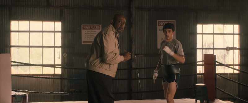 When you quit boxing
