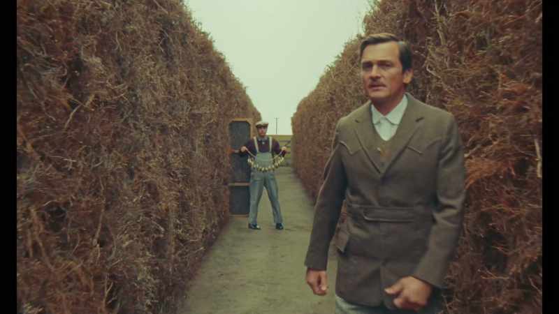 When they reached the railway line, there were 14 small birds