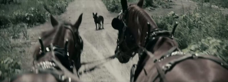 When Ruth and Cheryl are frightened by dueck's dogs