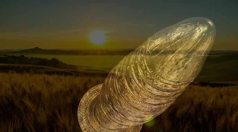 When scholars found these well-preserved scrolls