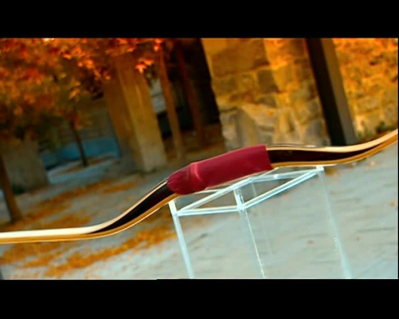 WHEN SOME INNOVATIVE CAVEMAN INVENTED THE BOW AND ARROW