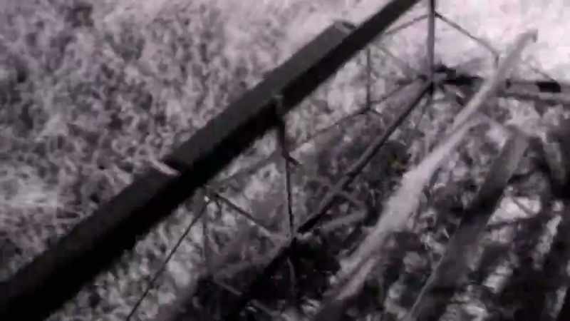 When Stalin began his forced modernization