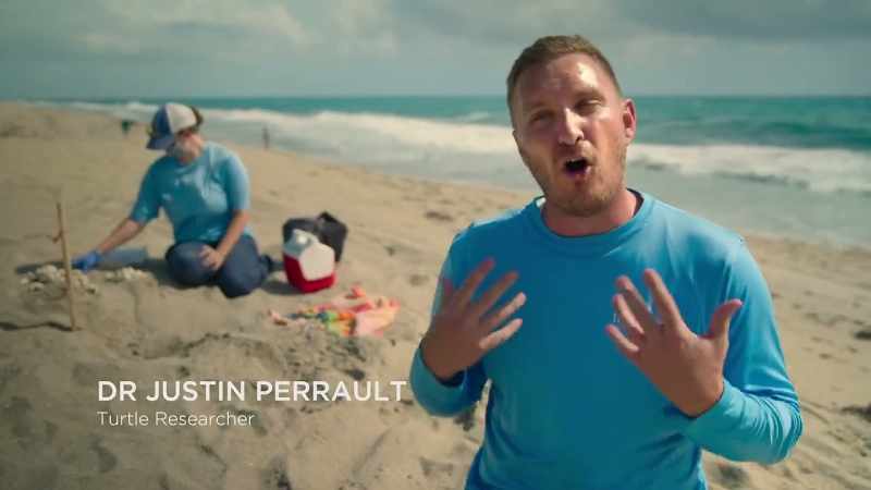 When the beaches were closed to humans