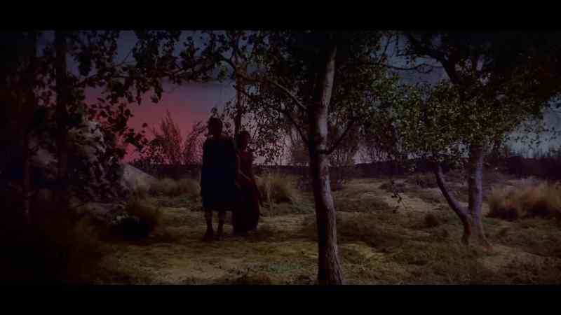 When the blazing sun hangs low in the western sky