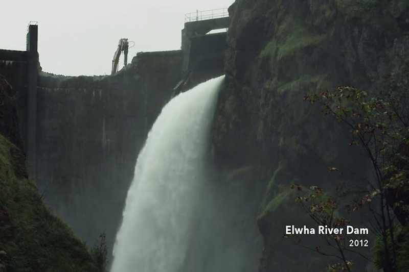 When the dams came down on the Elwha