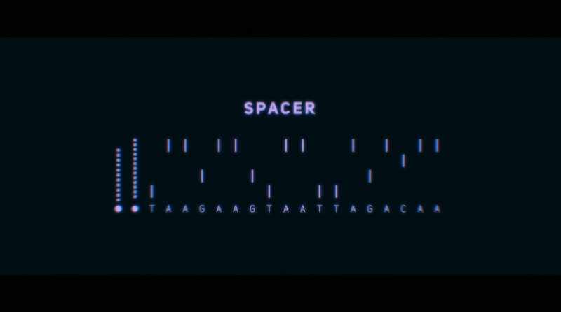 When the invader comes back
