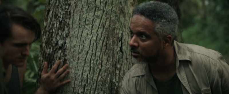 When the tree falls, you wanna get ready