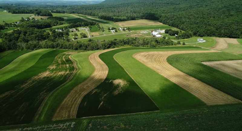 When these farmers start to adopt