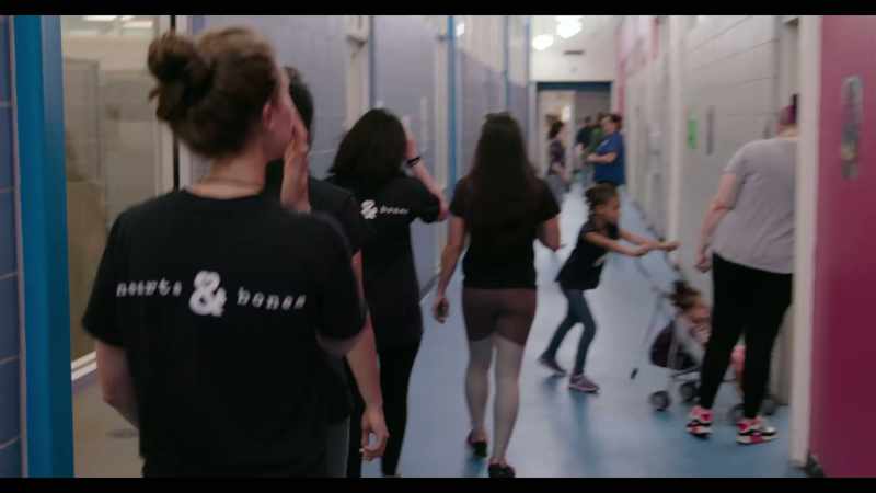 When you walk into a shelter