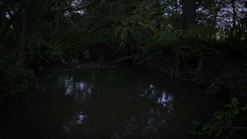 When we went down there to ask Sheriff Stites