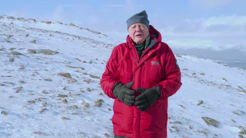 When winter comes, they undergo the most extraordinary change