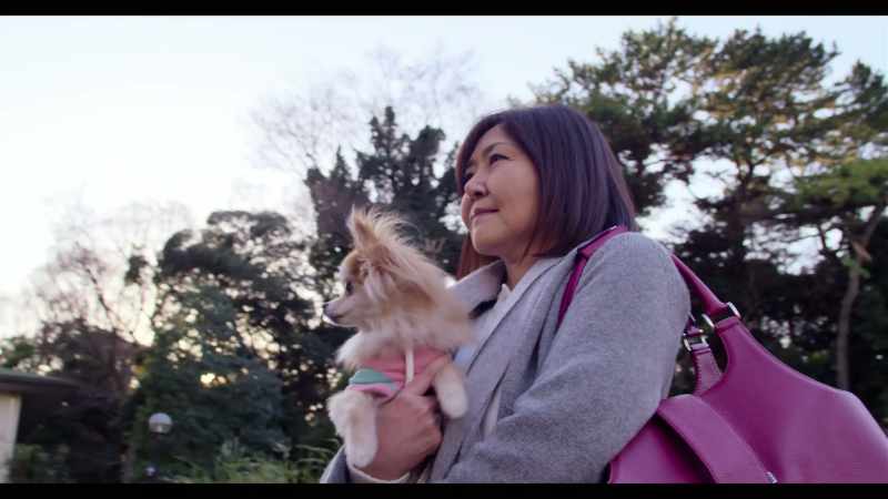 When women in Japan have children