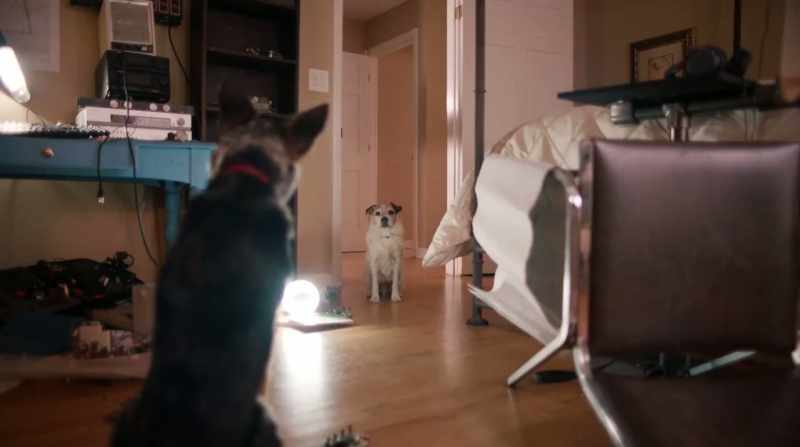 When you'’re not looking, they break into your house