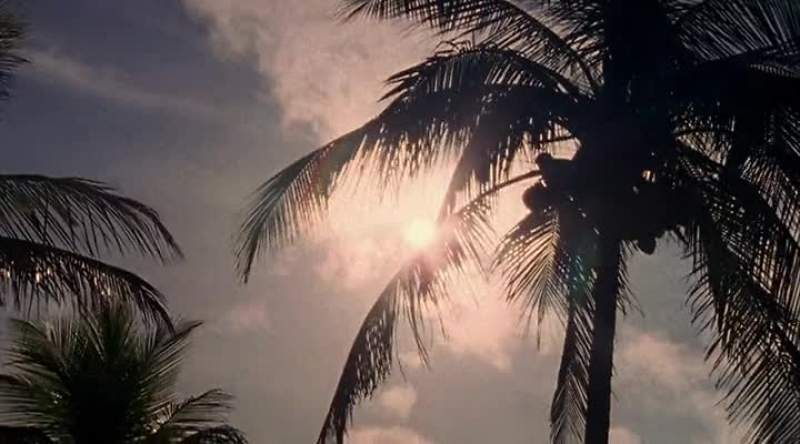 Where am I Miami
