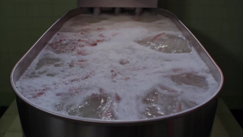 Where are we going?