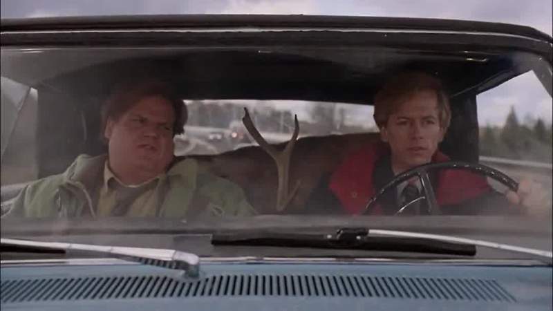 Where are we gonna take the deer