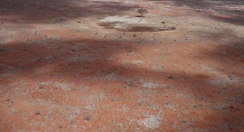 Where they are heading is still gripped by the drought