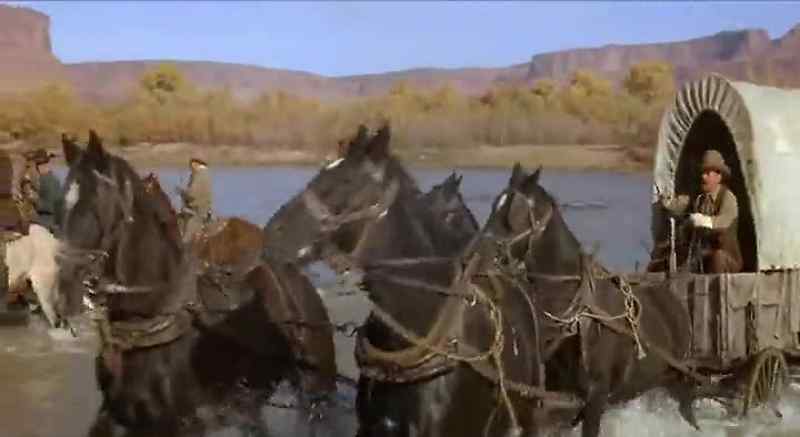 Where are you taking my colt?