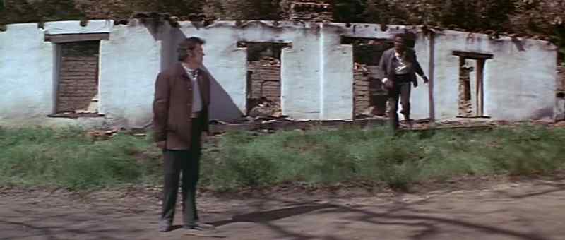Where are the horses, Quincy?